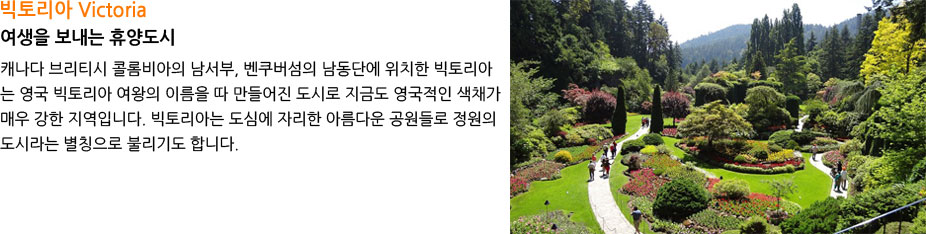 丮 Victoria-  ޾絵 
	ĳ 긮Ƽ ݷҺ ,  ܿ ġ 丮ƴ  丮  ̸   ÷ 
	ݵ  ä ſ  Դϴ. 
	丮ƴ ɿ ڸ Ƹٿ   ö Ī Ҹ⵵ մϴ.