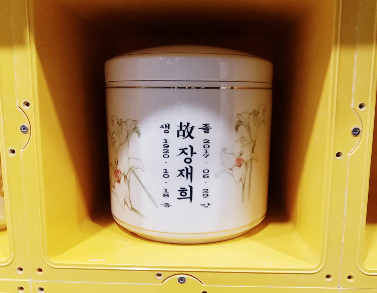 앨범 사진